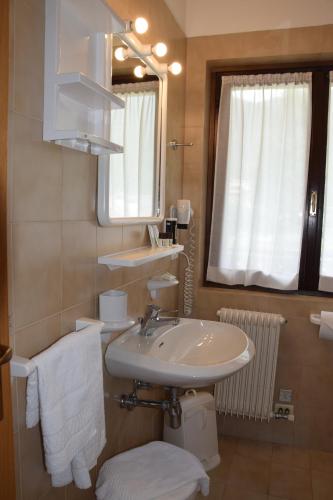 a bathroom with a sink and a toilet and a mirror at Hotel Ferrari in Pinzolo
