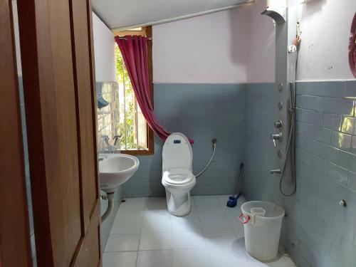 a bathroom with a toilet and a sink at Johnson's Homestay - Ecohouseboat in Alleppey