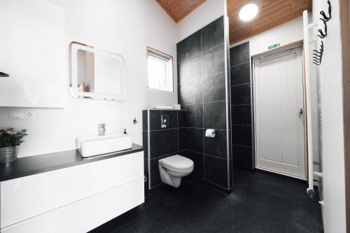 a bathroom with a toilet and a sink and a mirror at Blue View Cabin 5A With private hot tub in Reykholt