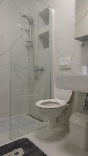 a white bathroom with a toilet and a shower at Apartmani Gaj in Malinska