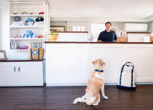 een hond die voor een toonbank zit met een man bij The Cottages & Lofts in Nantucket