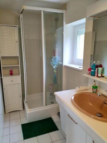 une salle de bain avec douche et lavabo dans l'établissement Maison de famille entre terre et mer, à Lantic