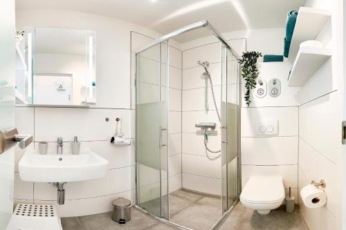 a bathroom with a shower and a toilet and a sink at fewo1846 Strandresidenz Wassersleben - OstseeNest - modernes Studioapartment mit Balkon am Strand in Harrislee