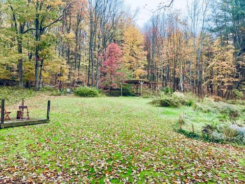 Livingston ManorCozy Cottage with Jacuzzi and Fire Pit and Reading Nook!的田间中带长凳的公园