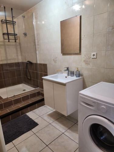 une salle de bain avec un lavabo et une machine à laver dans l'établissement Gîte Animals King'Dôme 8min du Zoo de Beauval, à Noyers-sur-Cher