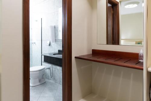 La salle de bains est pourvue de toilettes, d'un lavabo et d'un miroir. dans l'établissement Pratas Thermas Resort, à São Carlos