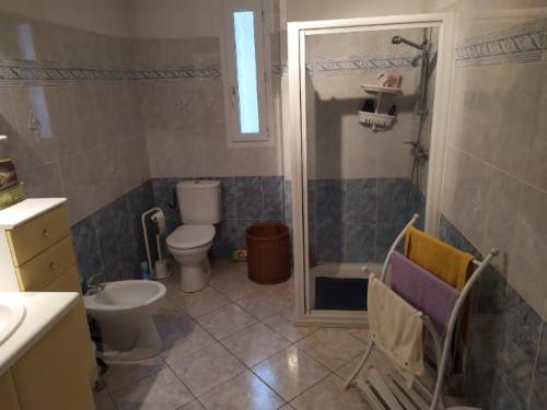 y baño con aseo, lavabo y ducha. en Belle maison de charme ancien, vue mer et montagne en Casalabriva
