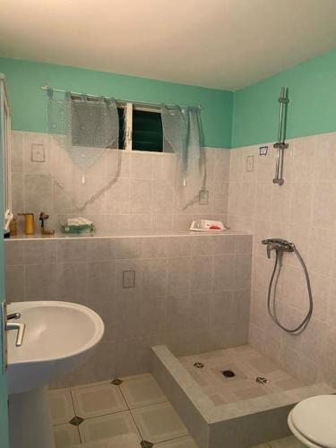 a bathroom with a shower and a sink and a toilet at Charmant logement situé à Sainte-Anne in Sainte-Anne