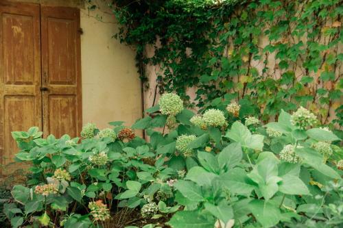 Banda zielonych roślin przed drzwiami w obiekcie Casale Hortensia w mieście Reggio nell'Emilia