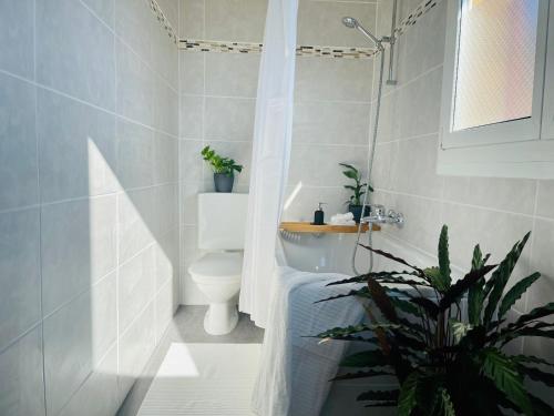 a bathroom with a toilet and a plant in it at -The Urbanist- Lakeview Free Parking 2BD Fast WiFi in Oberhofen am Thunersee