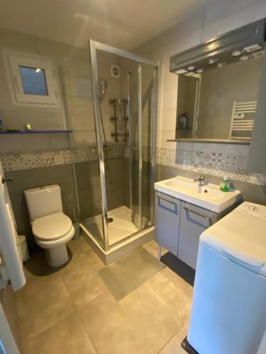 une salle de bain avec une douche, des toilettes et un lavabo dans l'établissement Maison en bord de mer, à Mauguio