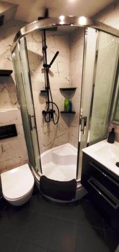 Un baño con ducha, inodoro y lavabo. en HAPPY - VIP Apartment - ApartamentyHappy pl, en Tarnów