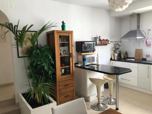 ABA Tropical & ABA Suite