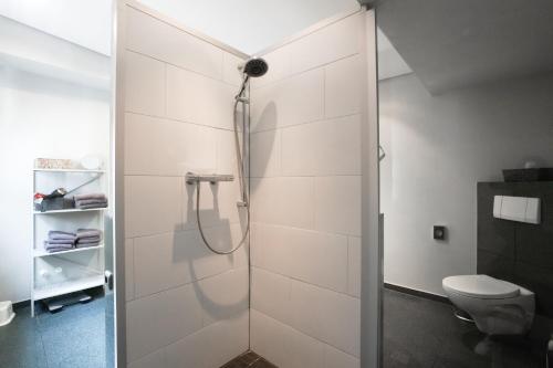 een badkamer met een douche en een toilet bij LOFT13 Traumhafte Wohnung mit Terrasse für 4 Gäste in Monschau