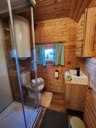 y baño con ducha, aseo y lavamanos. en Urige Waldbienenhütte, en Diex