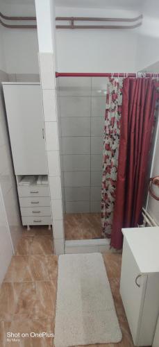 a bathroom with a shower with a red shower curtain at Apartman "Dom Stankovića" in Pirot
