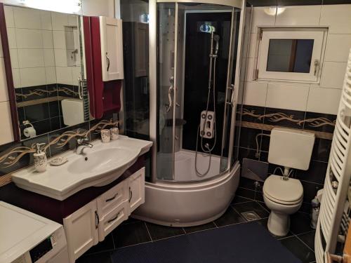 een badkamer met een douche, een wastafel en een toilet bij Apartman Hrastik 2 in Bihać
