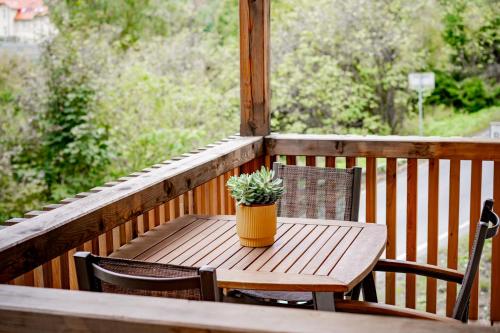 a wooden table with a potted plant on a porch at Apartmány NONE in Branná