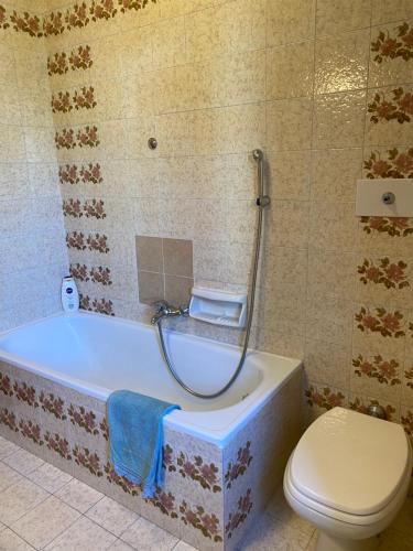 聖馬蒂諾－迪卡斯特羅扎的住宿－Casa Loria - Appartamento con Giardino，带浴缸和卫生间的浴室。