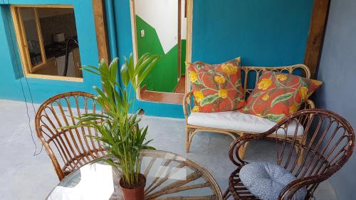 a living room with two chairs and a table with a plant at Casa Tortuga in Santa Cruz de Tenerife