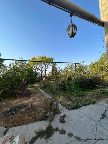 Affortable house – Photos 3