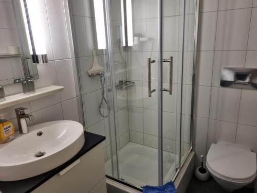 a bathroom with a shower and a sink and a toilet at priv. Apartment bei Swiss Holiday Park in Morschach