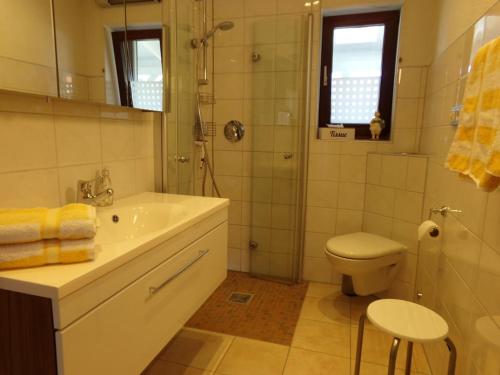 a bathroom with a sink and a toilet and a shower at Ederauenblick in Dodenau