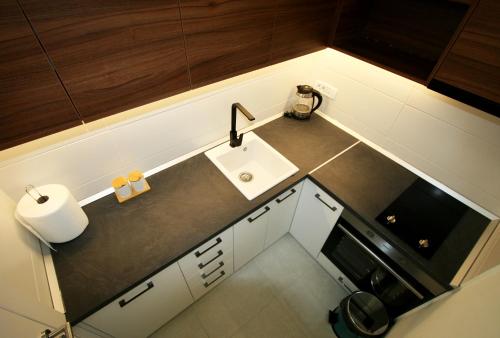 einen Blick über eine kleine Küche mit einem Waschbecken in der Unterkunft Apartment Iva in Belgrad