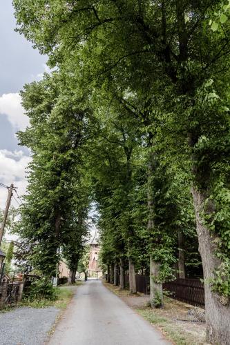 a road with trees on the side of it at Sommers "Schöne Aussicht", Adults only in Reichenbach im Vogtland