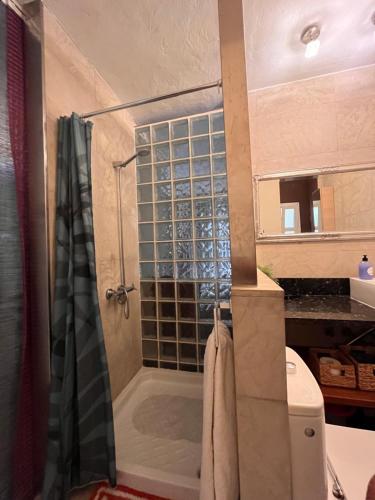 ein Bad mit einer Dusche und einem WC in der Unterkunft Dream Central Toscal in Santa Cruz de Tenerife