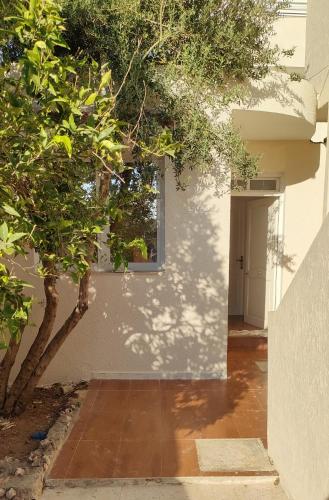 a white building with a window and a tree at Tiba soliman plage in Nabeul