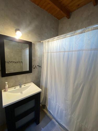 baño con lavabo y cortina de ducha en Lo de Lili a pasos del Centro de Tandil en Tandil