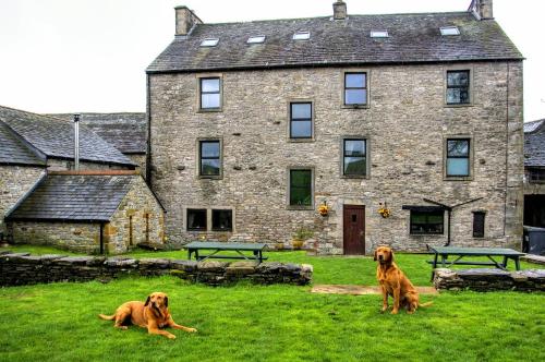 two dogs sitting in the grass in front of a building at New Ing Lodge in Shap