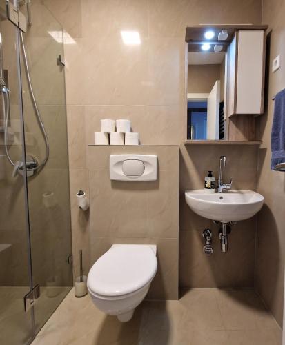 Ένα μπάνιο στο Apartman Crystal Vlašić