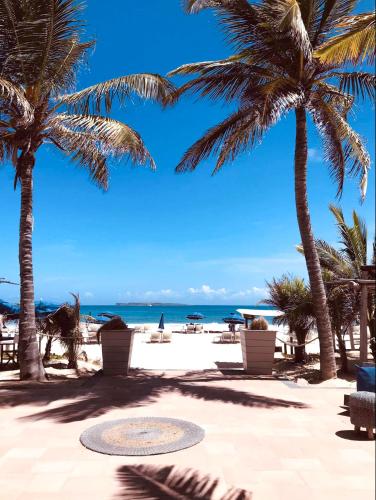 a beach with palm trees and the ocean at Top floor unit 520 ft2 - 48 m2 with stunning dominant view on ocean, St Barth, Orient Bay in Cul de Sac