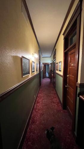 a dog is sitting in the middle of a hallway at Hotel La More at The Bisbee Inn in Bisbee