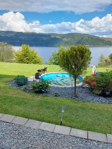 two dogs in a yard with a swimming pool at Bergen Sunrise Terrace Apartment in Bergen