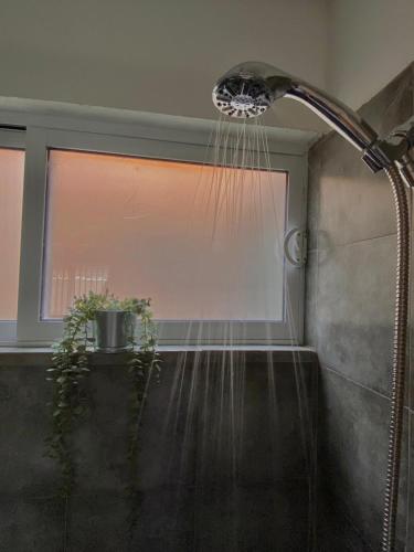 a shower head with water coming out of it at Acogedor departamento totalmente remodelado, tranquilo y centrico in Ciudad Juárez
