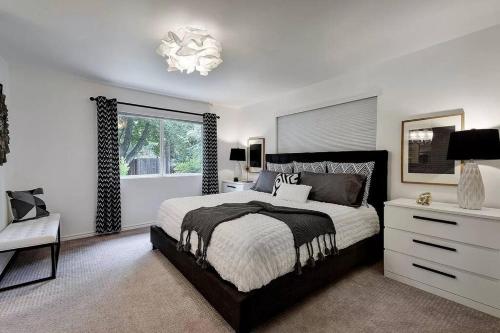 Austin Abstract Domain by Barcle Group – Photos 3