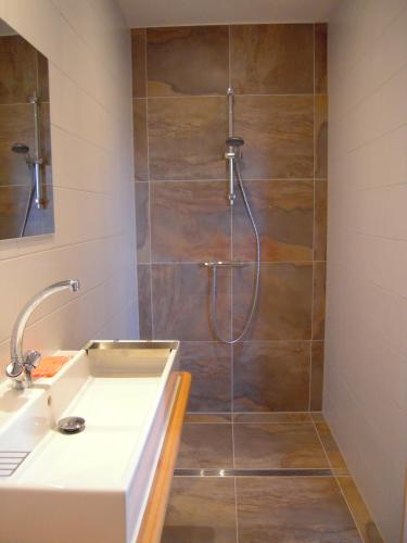 a bathroom with a shower with a sink at B&B ZomersBuiten in Oude Pekela