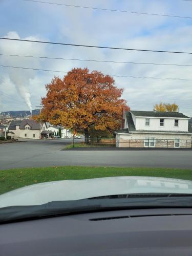 Mainly Acadia – Photos 4