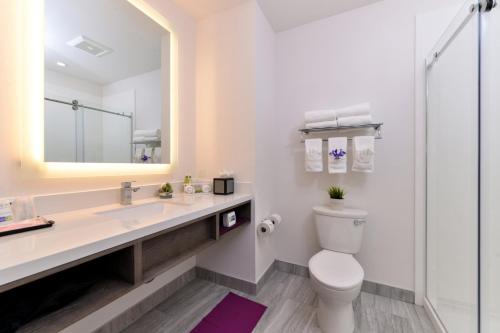 a bathroom with a toilet and a sink and a mirror at Holiday Inn Express & Suites San Diego - Mission Valley, an IHG Hotel in San Diego