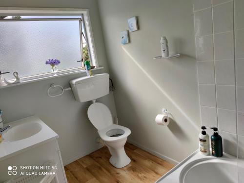 a bathroom with a toilet and a sink and a window at Hosts on the Coast Paradise on Pipi in Whangamata