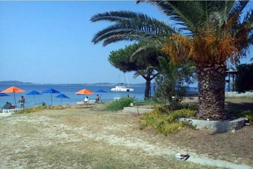 a beach with palm trees and umbrellas and the water at Porto Kalliali in Ouranoupoli