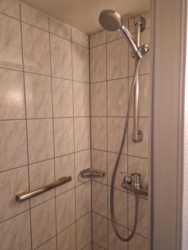 a shower with a shower head in a bathroom at Gasthof Post in Mittersill