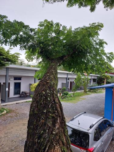 a car parked next to a large tree at Changlun Chalet in Changlun