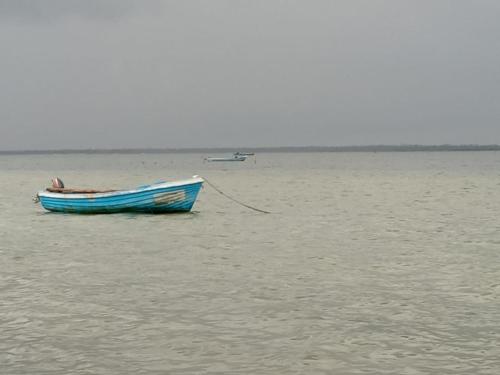 a blue boat sitting in the middle of the water at Malabar Beach Walk in Jaffna