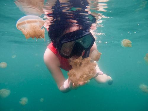 a person is swimming in the water with food at Arasatu Villas & Sanctuary in Maratua Atoll