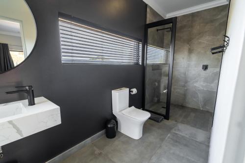 a bathroom with a toilet and a sink and a shower at Leeuwkop Hunting Safaris in Kimberley