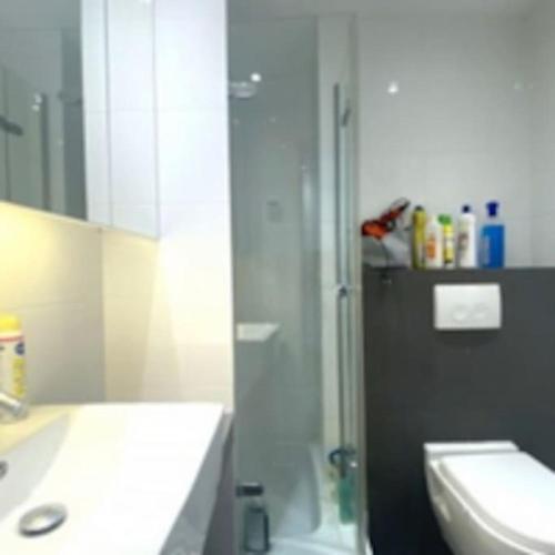 a bathroom with a shower and a sink and a toilet at Bright Appartement in Brussels in Brussels